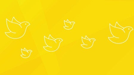 Graphic icon art of birds in white against a yellow background