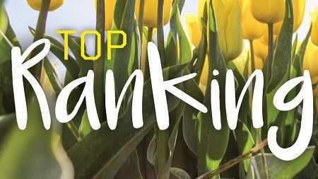 The phrase Top Rankings against a background of yellow tulips