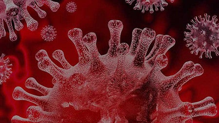 Illustration of a coronavirus cell