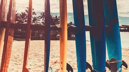 Photo of surfboards positioned upright in the sand