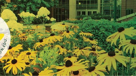 Ducks Give logo against a background of the Lillis building