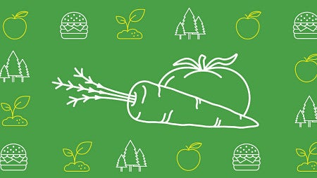 Icon of a carrot and tomato in white against a green background