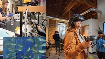 A collage of images depicting various activities from the Week of Research