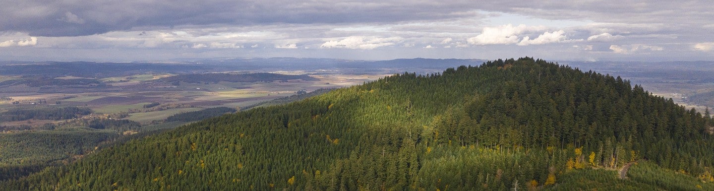 a mountain view