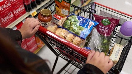 a grocery store cart 