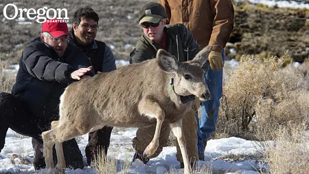 people gather around a deer as it runs away