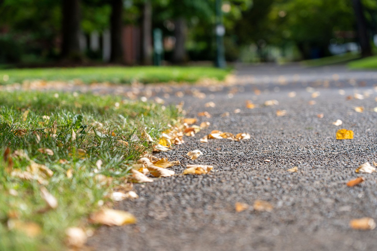 Campus Path