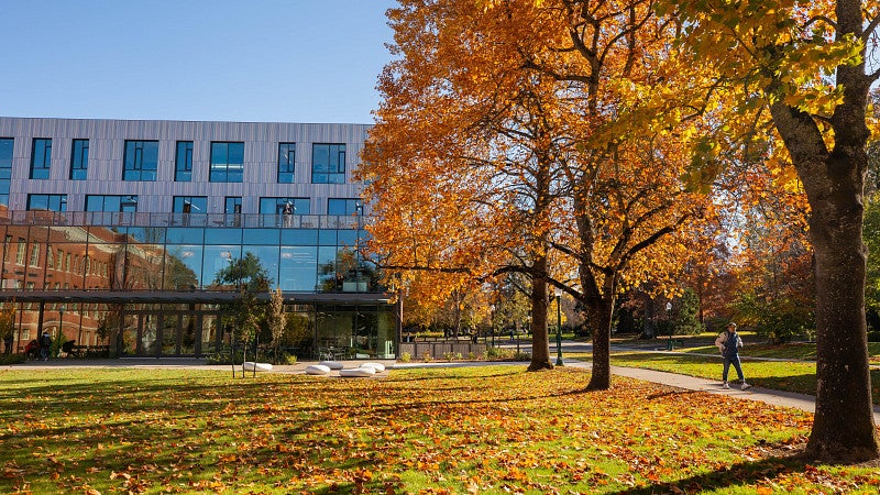 Fall Campus