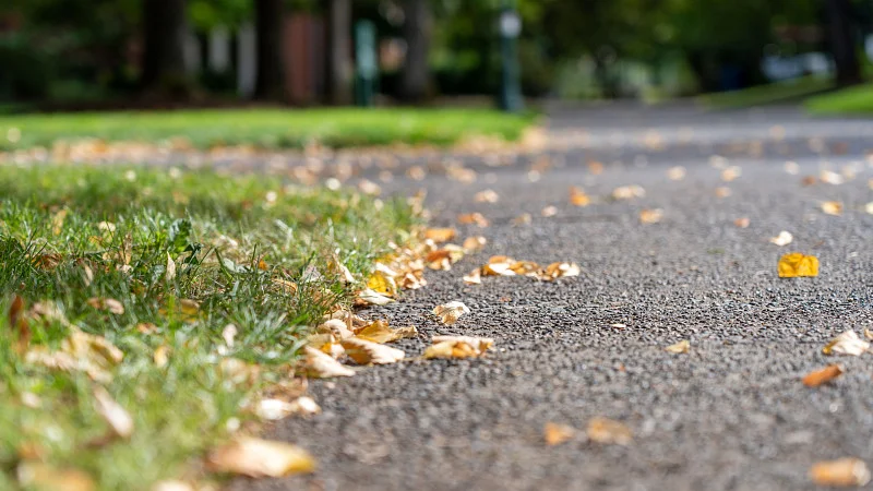 Campus Path