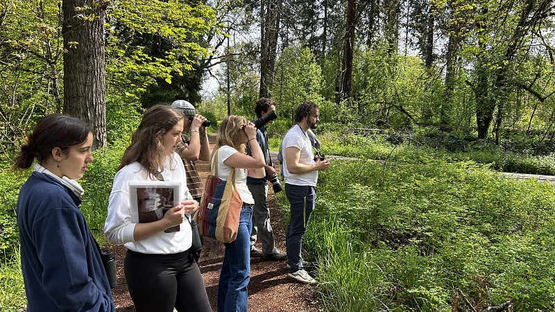 Students searching for birds