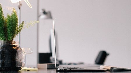 Laptop and plant on desk. 