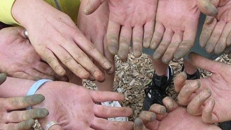 Student hands, dirty from farm work.