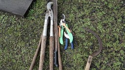 Hand farming implements