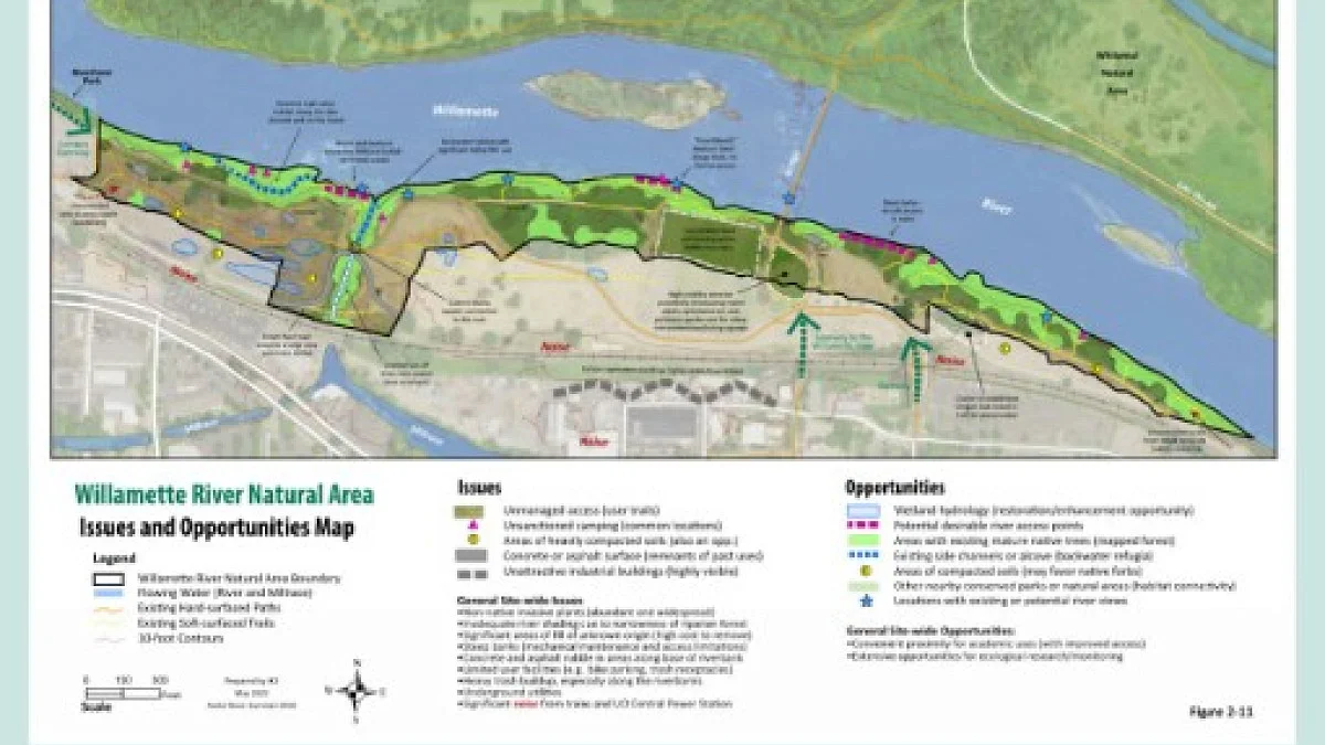 Map indicating site issues and opporotunities