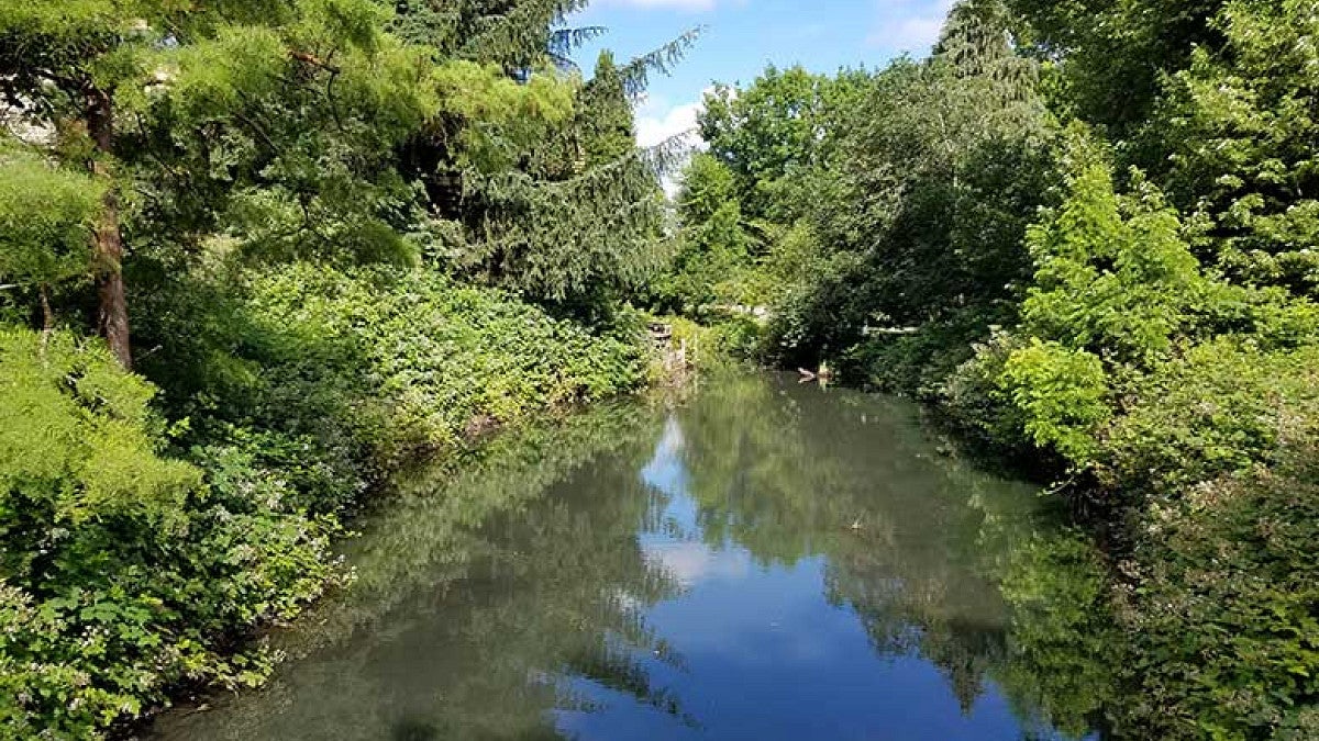The Millrace