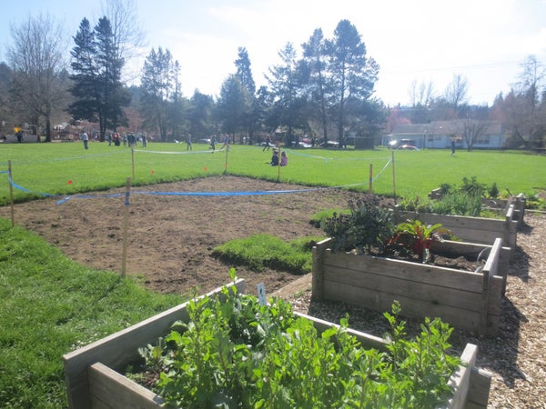 The new service garden is located on the northwest corner of the playground at Edison Elementary. Photograph by Cari Johnson. garden plot
