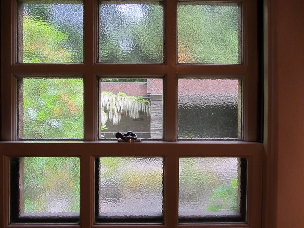Panes in a window frame wisteria in bloom in the courtyard of the Watzek House. Watzek House