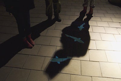 An image of Ives’ piece "Salmon Run."