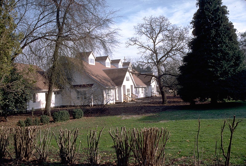 Millrace I