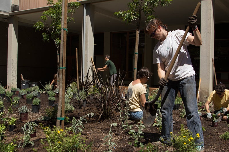 plants class in action