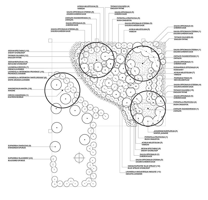 planting plan