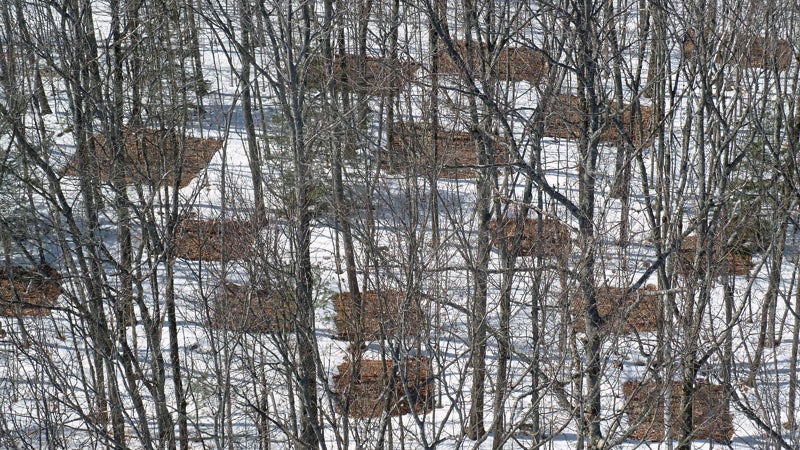 Experimental research plots at Harvard Forest in Massachusetts