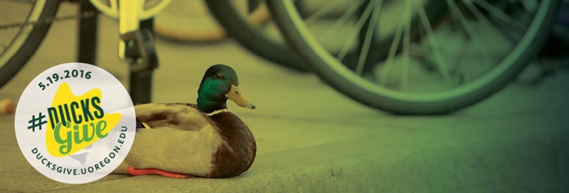 DucksGive