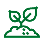Green sprout icon