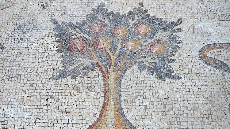 A pomegranate tree, detail from the 6th century AD Bird Mosaic. Image courtesy Wikimedia Commons.