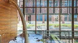 Photo of sculpture installation