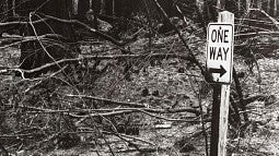 Photo of street sign and forest