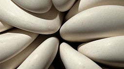 News Header Image for Brad Miller article. Decorative. 