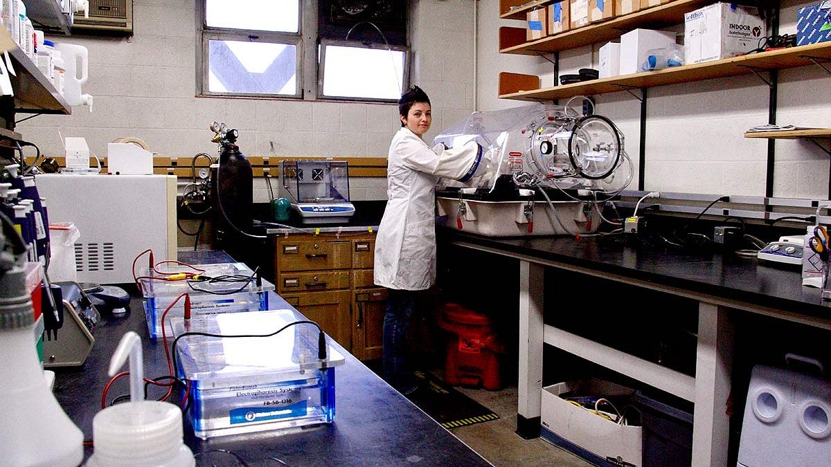 Sue Ishaq in the lab