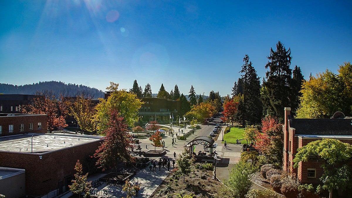 UO campus in fall