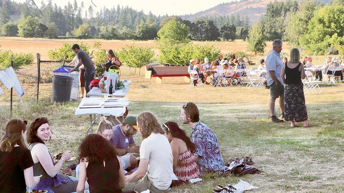 people sitting on grass at sunset