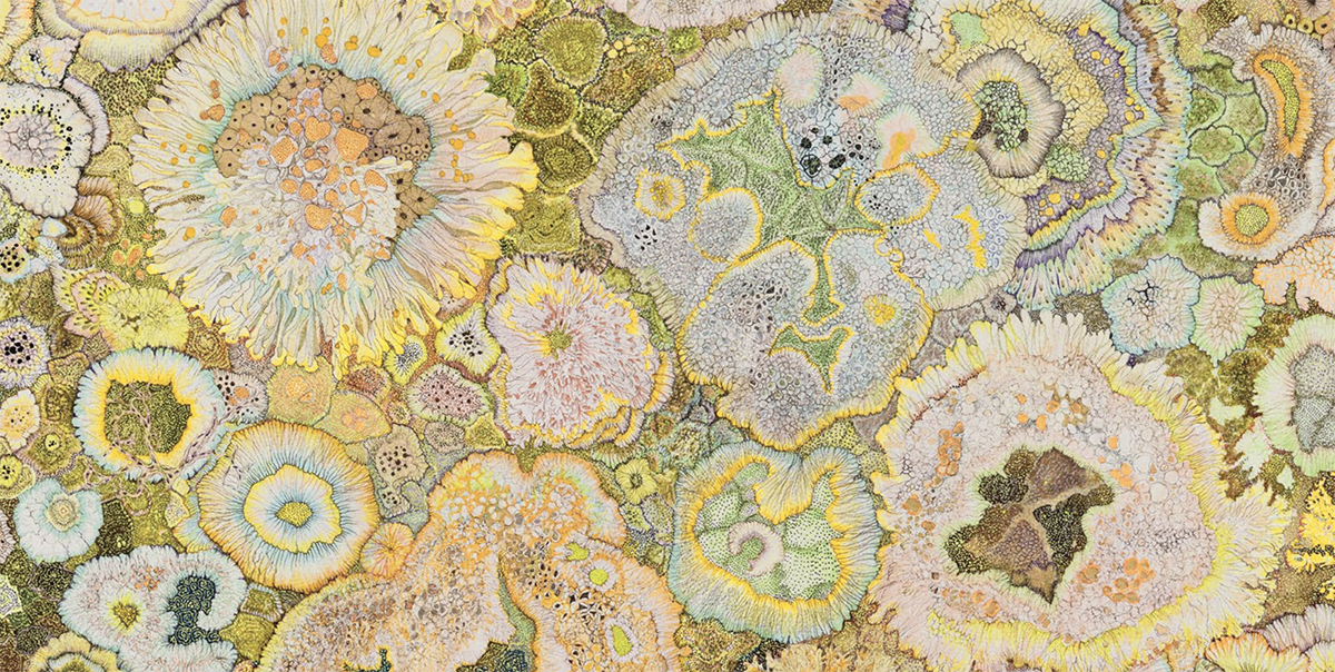 Nature art print by Claire Burbridge