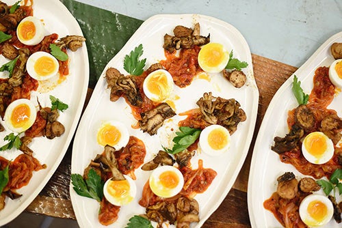 food dishes