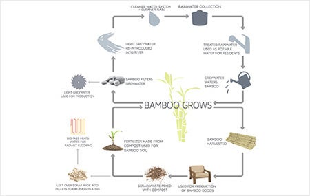 Bamboo Grows diagram