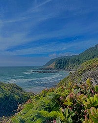 Oregon Coast