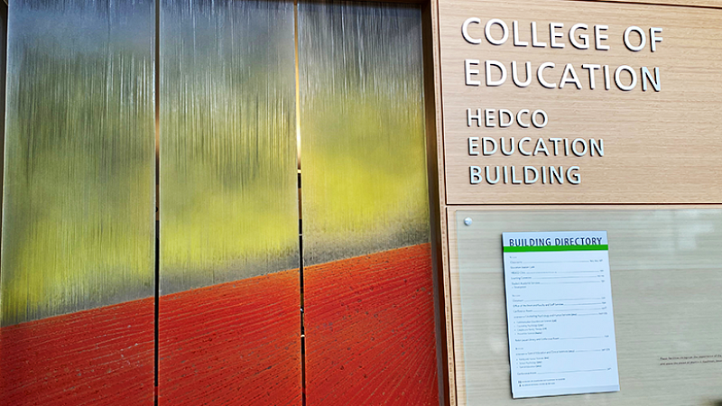 Colere art installation in the HEDCO building
