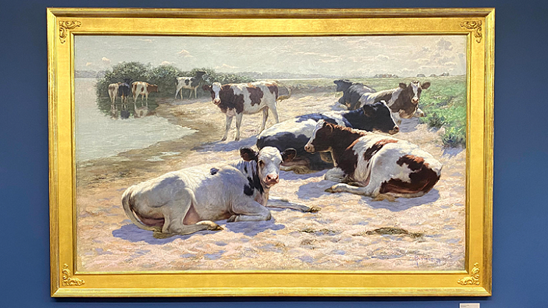 Cows Nooning Art Installation