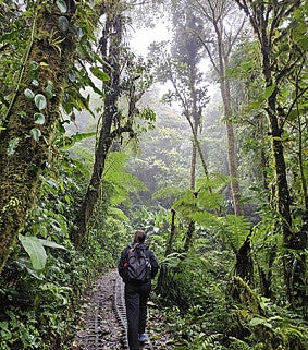 Ellie Hein hiking in Costa Rica