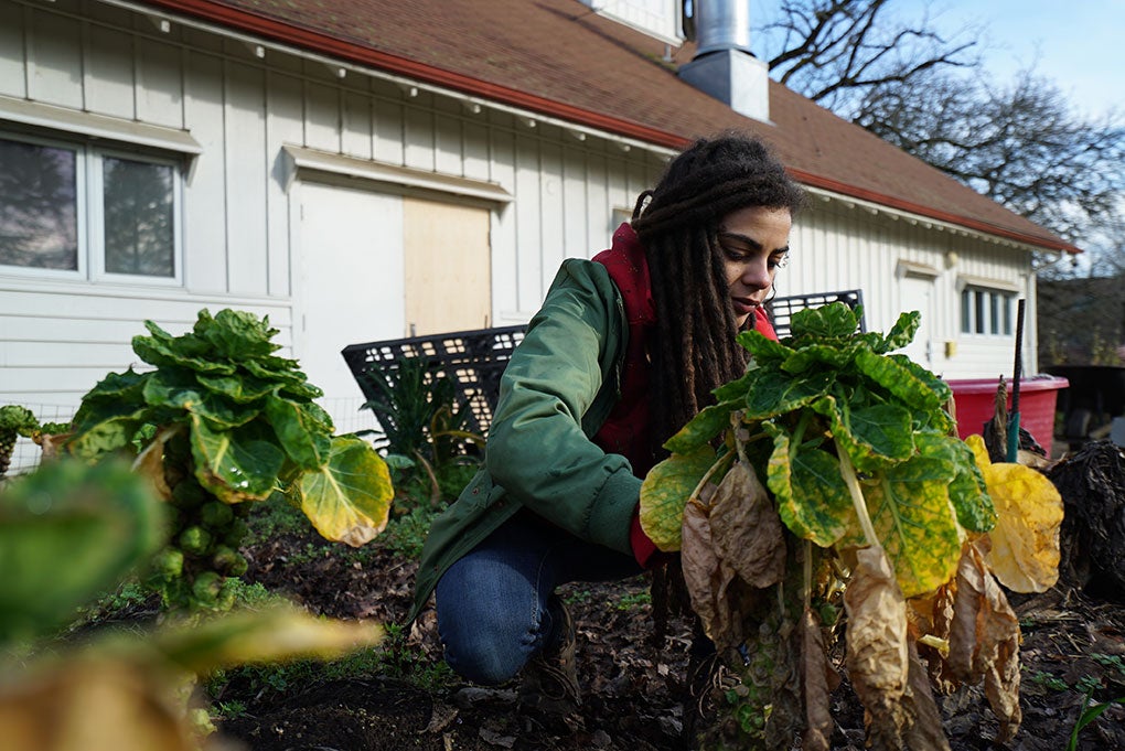 Student planting vegetables at the UO Urban Farm
