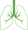 TB Screening Icon