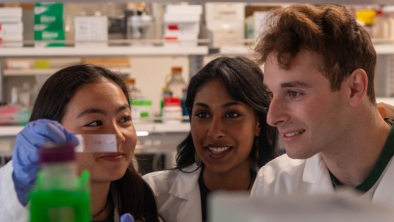 three students looking at a slide in a lab