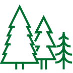 trees icon