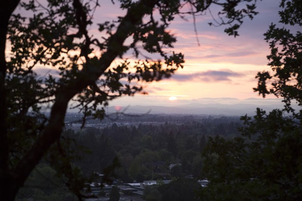 photo of a sunset through limbs of a tree