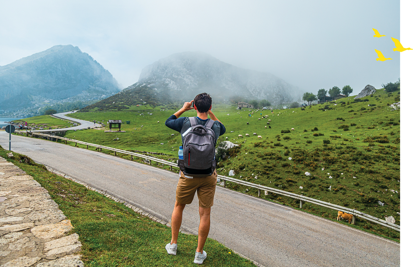 young male wearing a backpack taking a picture of green mountains on the horizon