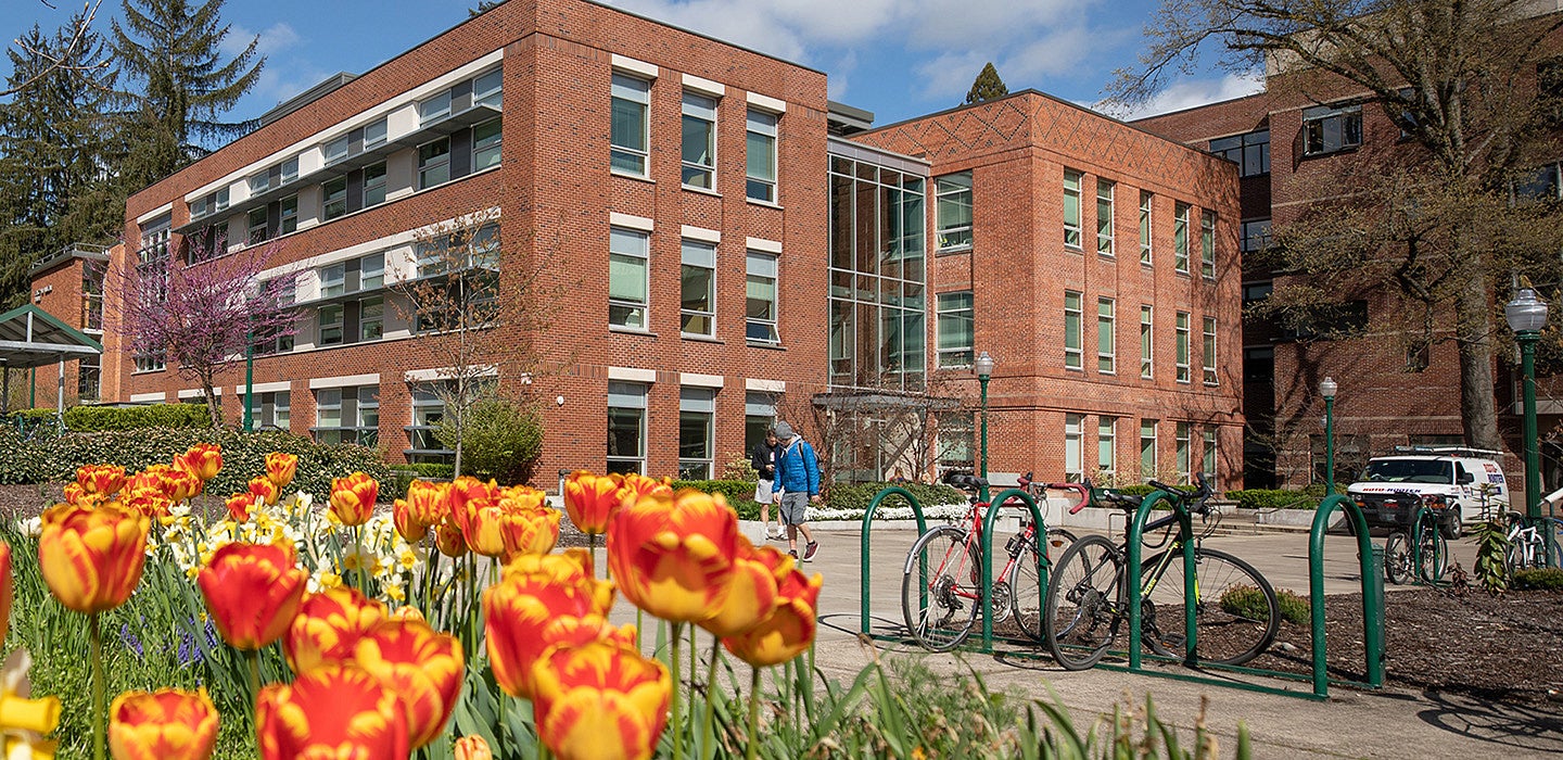 Exterior view of Allen Hall with vibrant yellow and orange tulips in the foreground