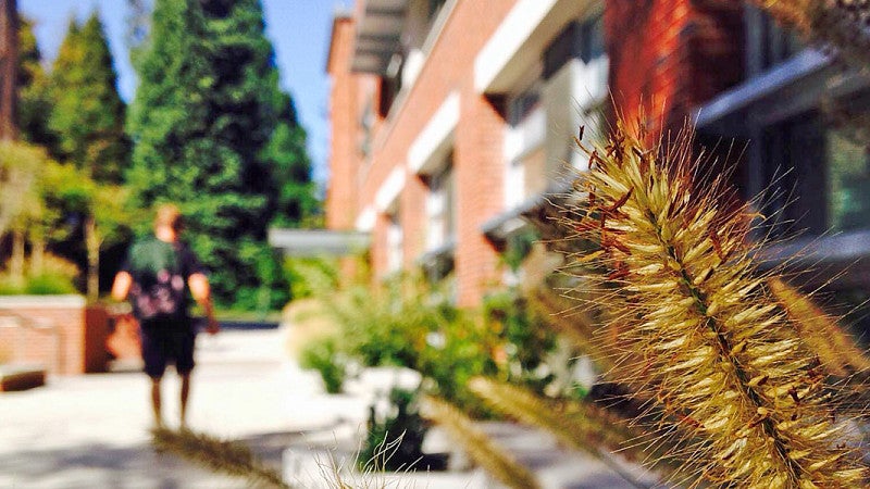 a student walks near the south side of Allen Hall